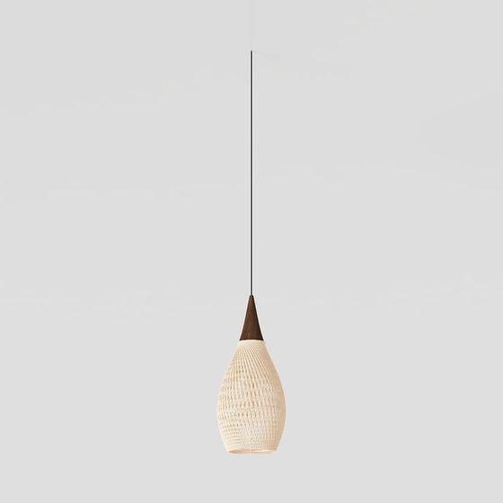 Woven Bulb Pendant Light 3D model