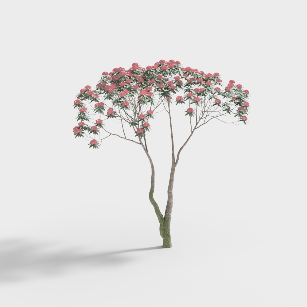 Vibrant Pink Azalea Tree 3D model