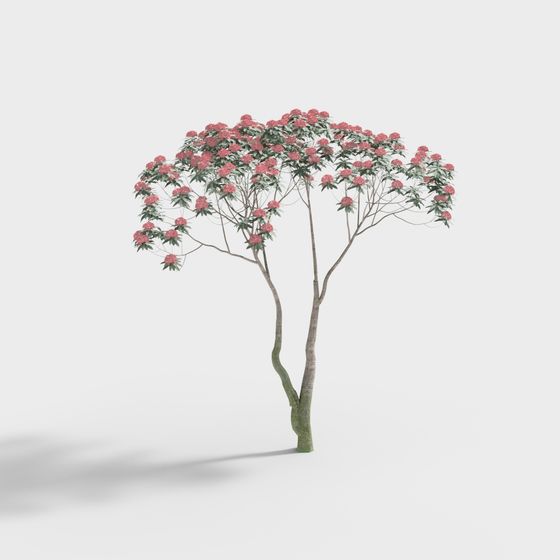 Vibrant Pink Azalea Tree 3D model