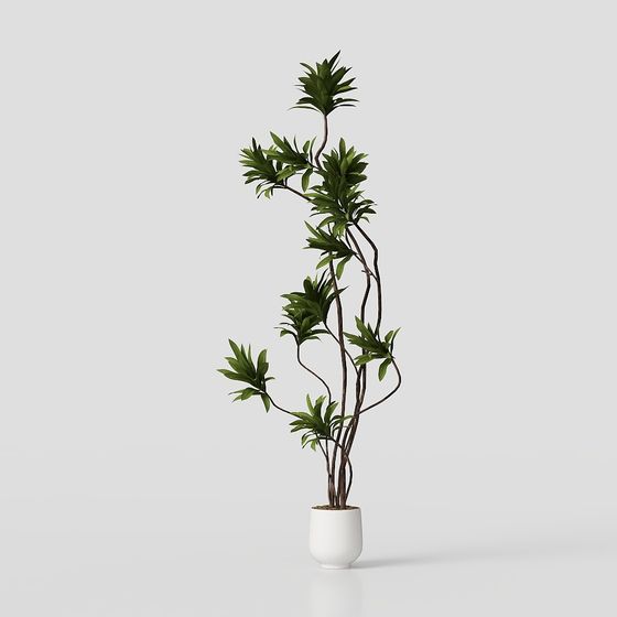 Vibrant Indoor Plant 3D model for Creative Spaces