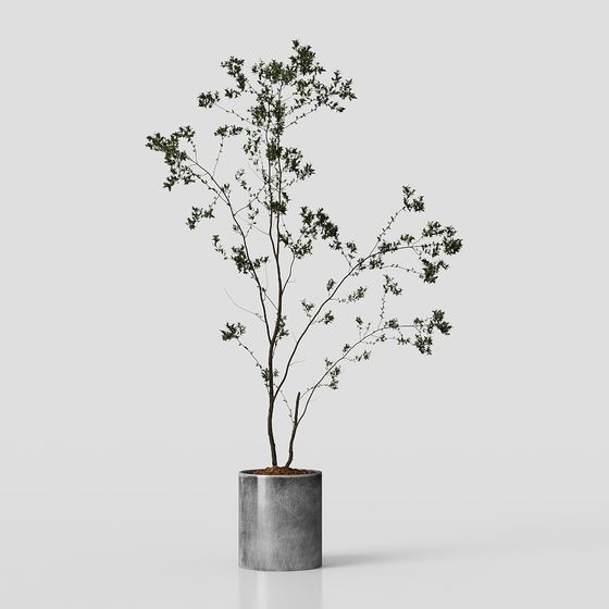 Urban Oasis 3D model of a Lively Tree