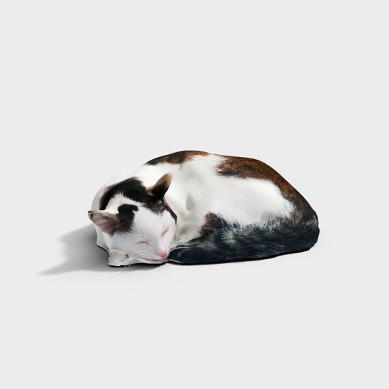 Lazy Afternoon Cat Napping 3D model