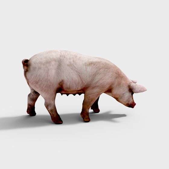 Cute Low-Poly Pink Pig 3D Model