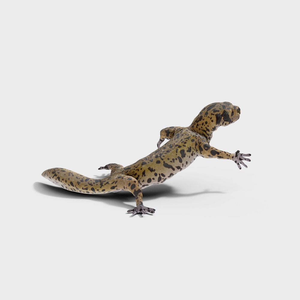 Realistic 3D Model of the Giant Salamander