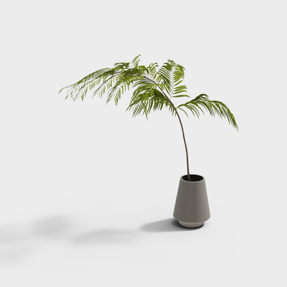 Green Plant Decoration