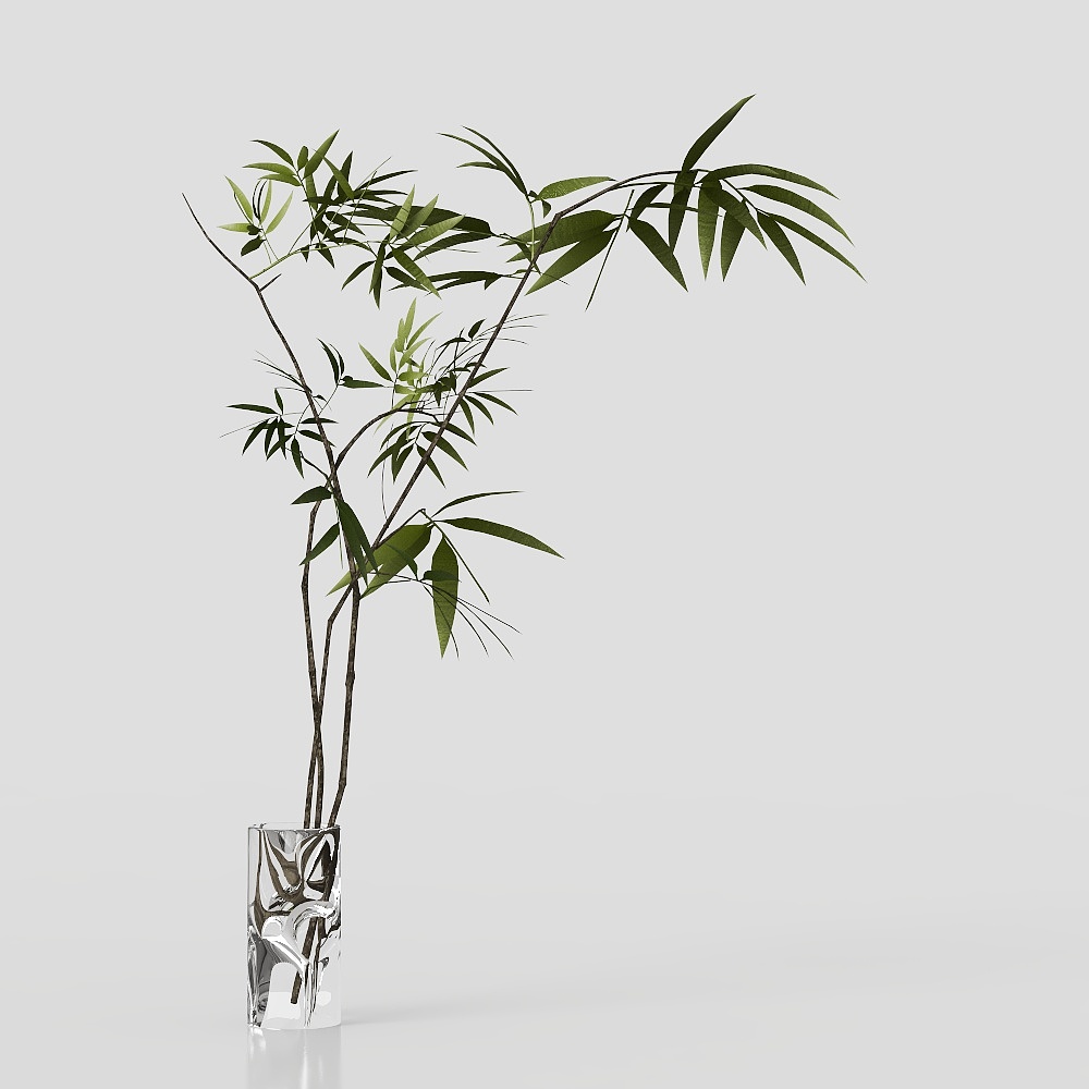 Piante Verdi Moderne