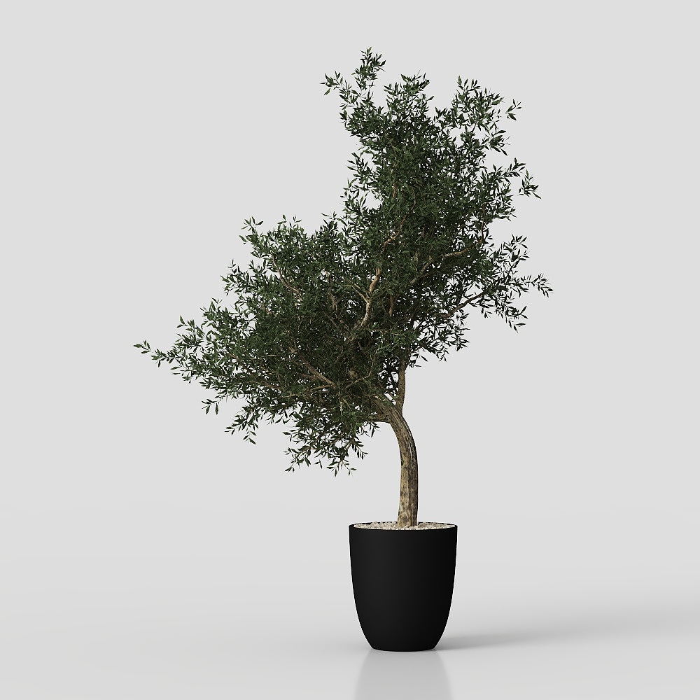 RED-Cream Style Living Room 0824_Green Plant