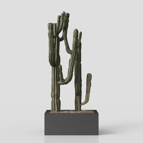 Realistic Cactus 3D model for Desert Environments