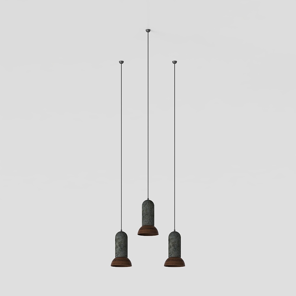 Modern Indoor Pendant Lamp