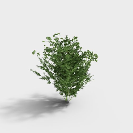 Lush Wild Grass 3D Model