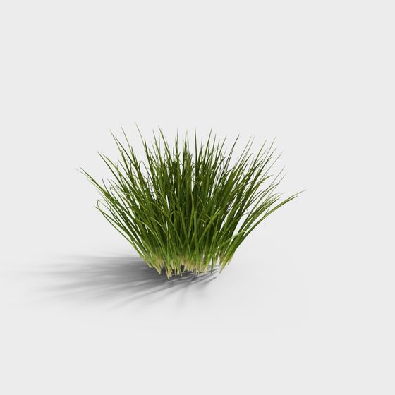 Realistic Grass Cluster 3D Model for Creative Designs