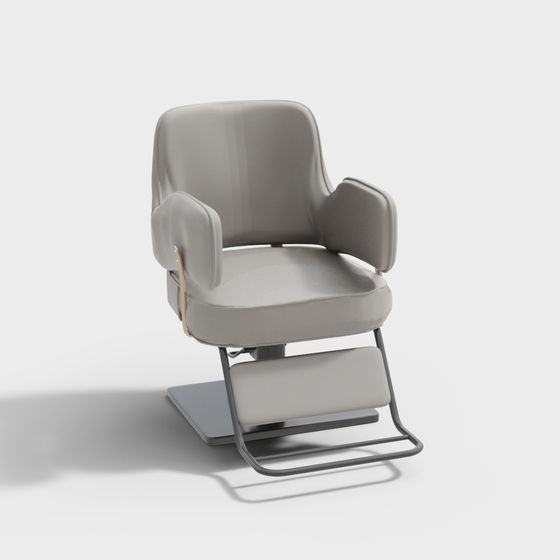 Modern Beauty Salon Hairdressing Rotating Chair in Gray