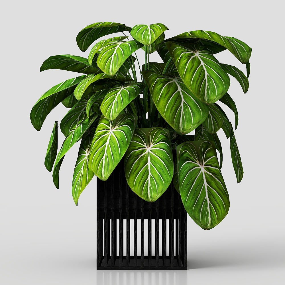 ต้นไม้ในกระถาง