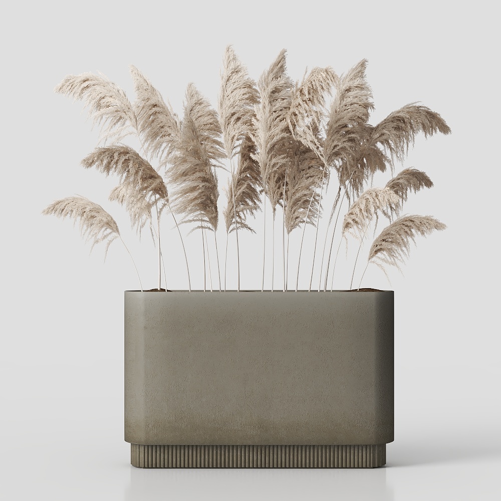 Urban Oasis Planter 3D Model – Concrete and Reeds