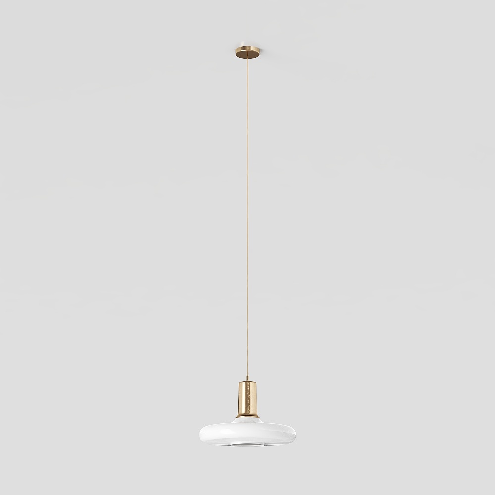 Modern Decorative Pendant Lamp