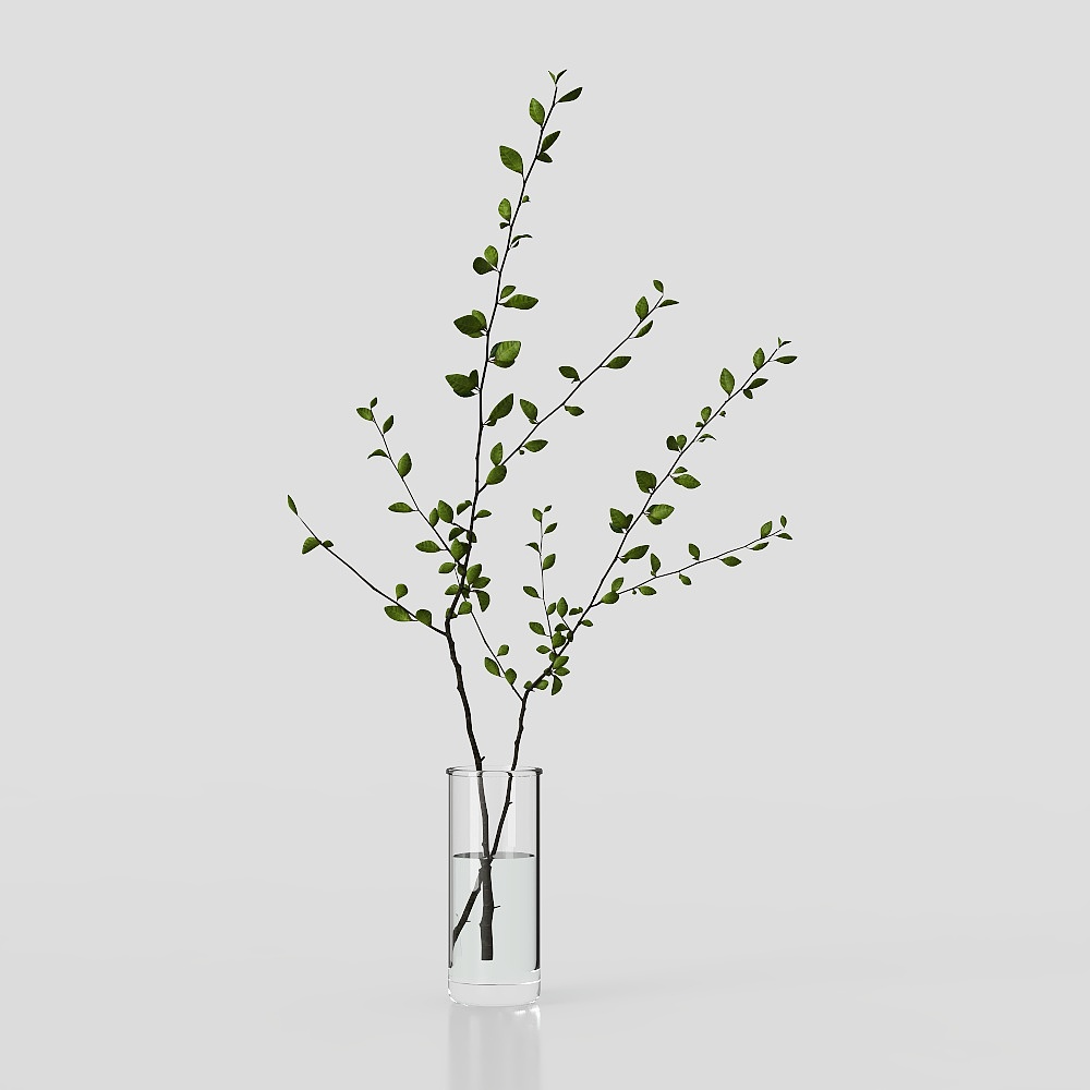 グリーンプラント