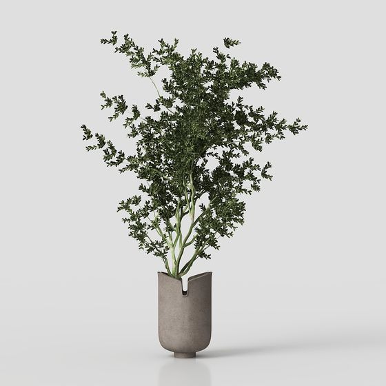 Urban Green Plant 3D Model for Creative Designs