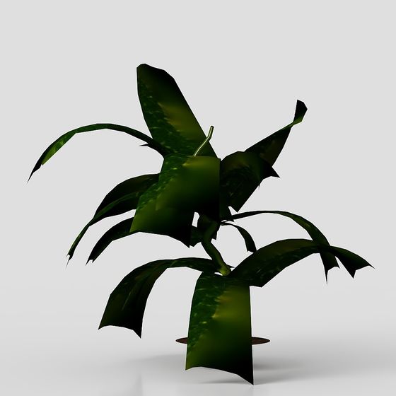 Tropical Plant 3D Model for Designers