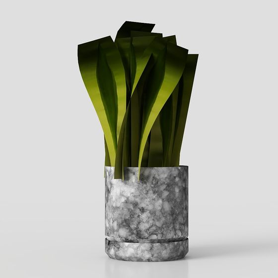 Stylish Urban Plant 3D model for Various Uses