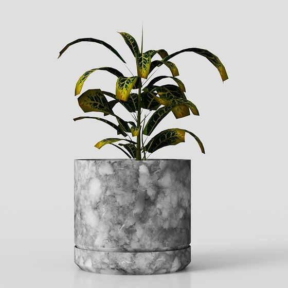 Elegant Low-Poly Plant Pot 3D Model