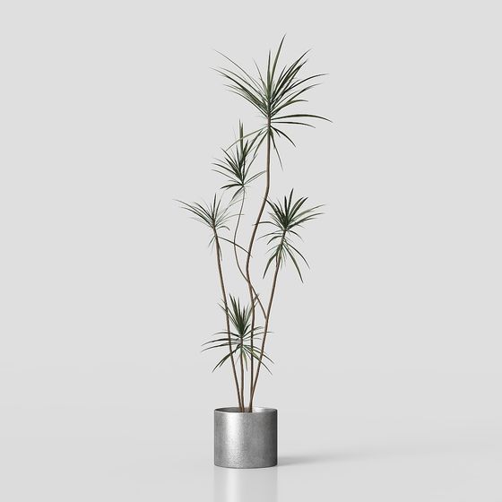 Urban Green Plant 3D model for Modern Spaces