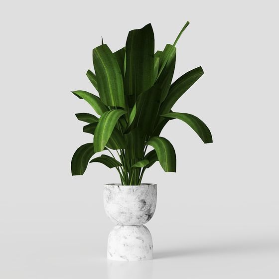 Urban Green Plant 3D model for Creative Projects