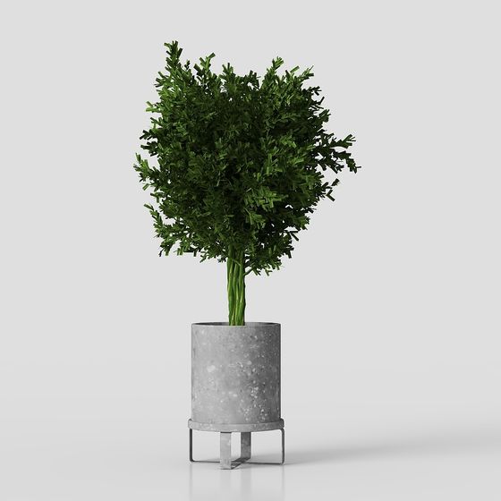 Stylish Urban Oasis Potted Plant 3D model
