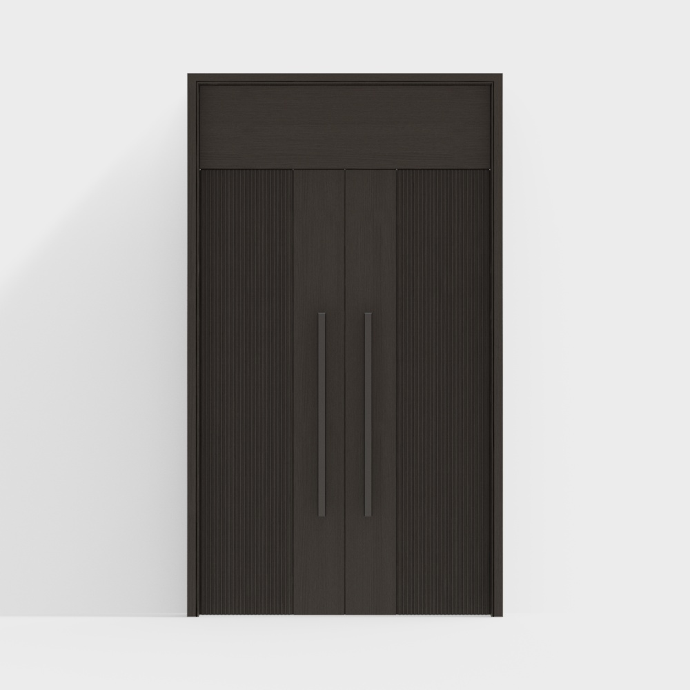 Modern Double Door