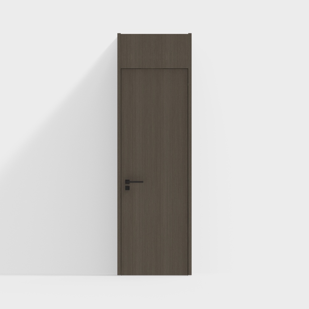 Modern Single Door