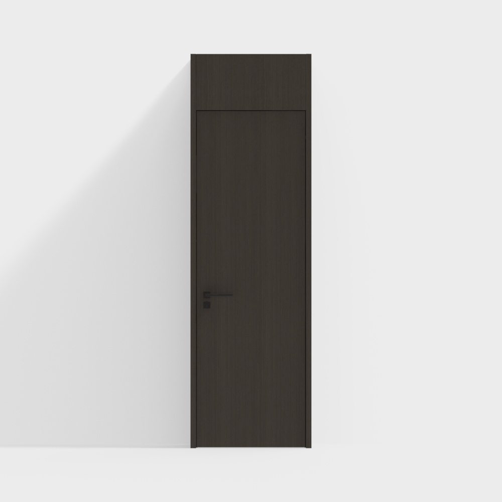 Modern Single Door
