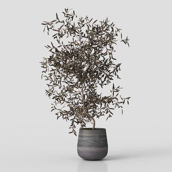 Low Poly Olive Tree 3D model for Serene Environments