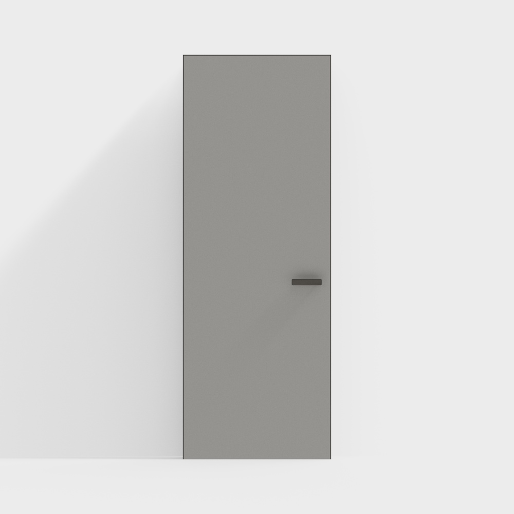 Modern Minimalist Single Door