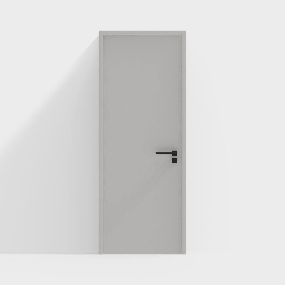 Modern Minimalist Single Door
