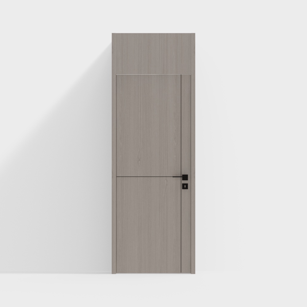 Modern Single Door