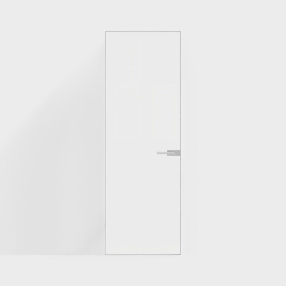 Modern Minimalist Single Door