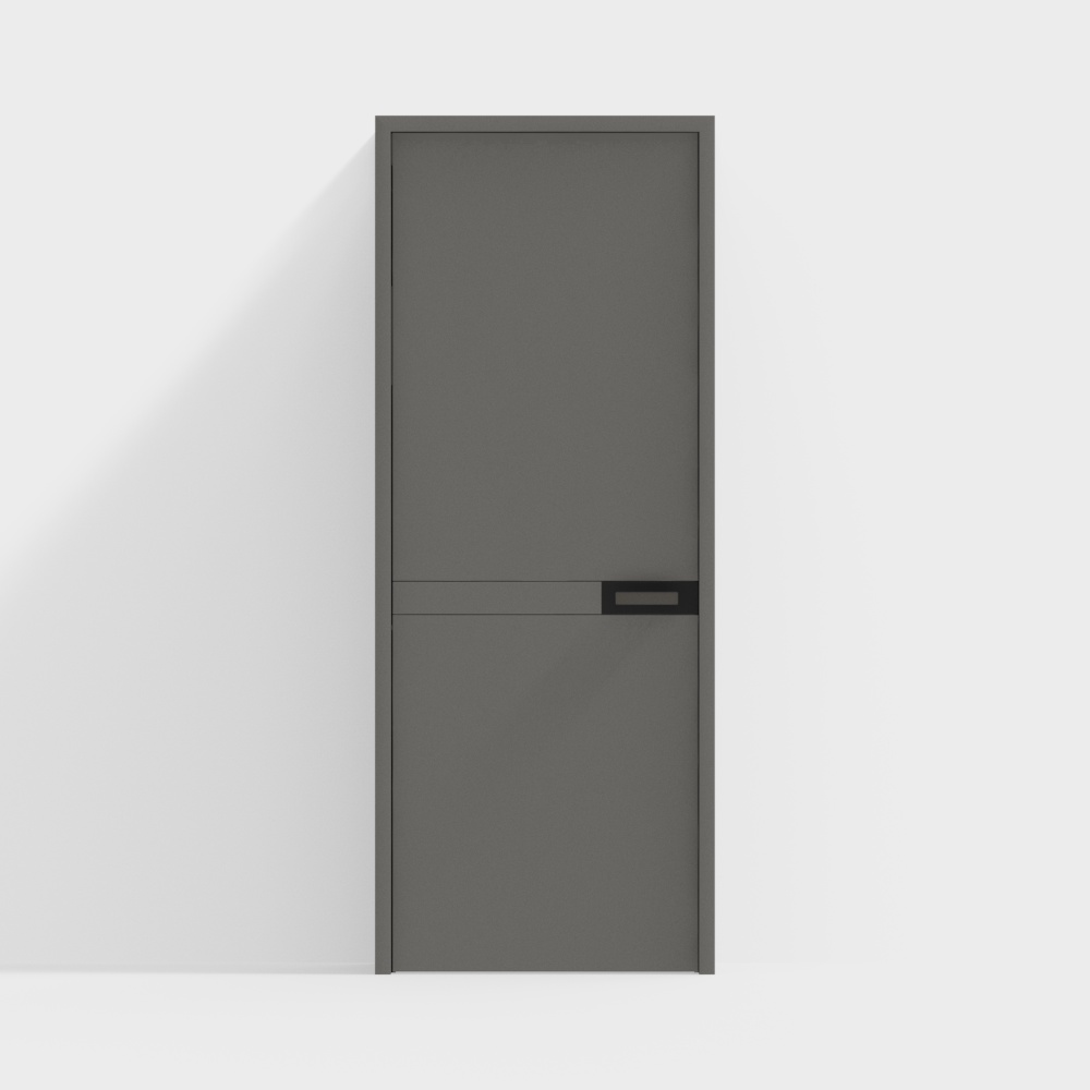 Modern Minimalist Single Door