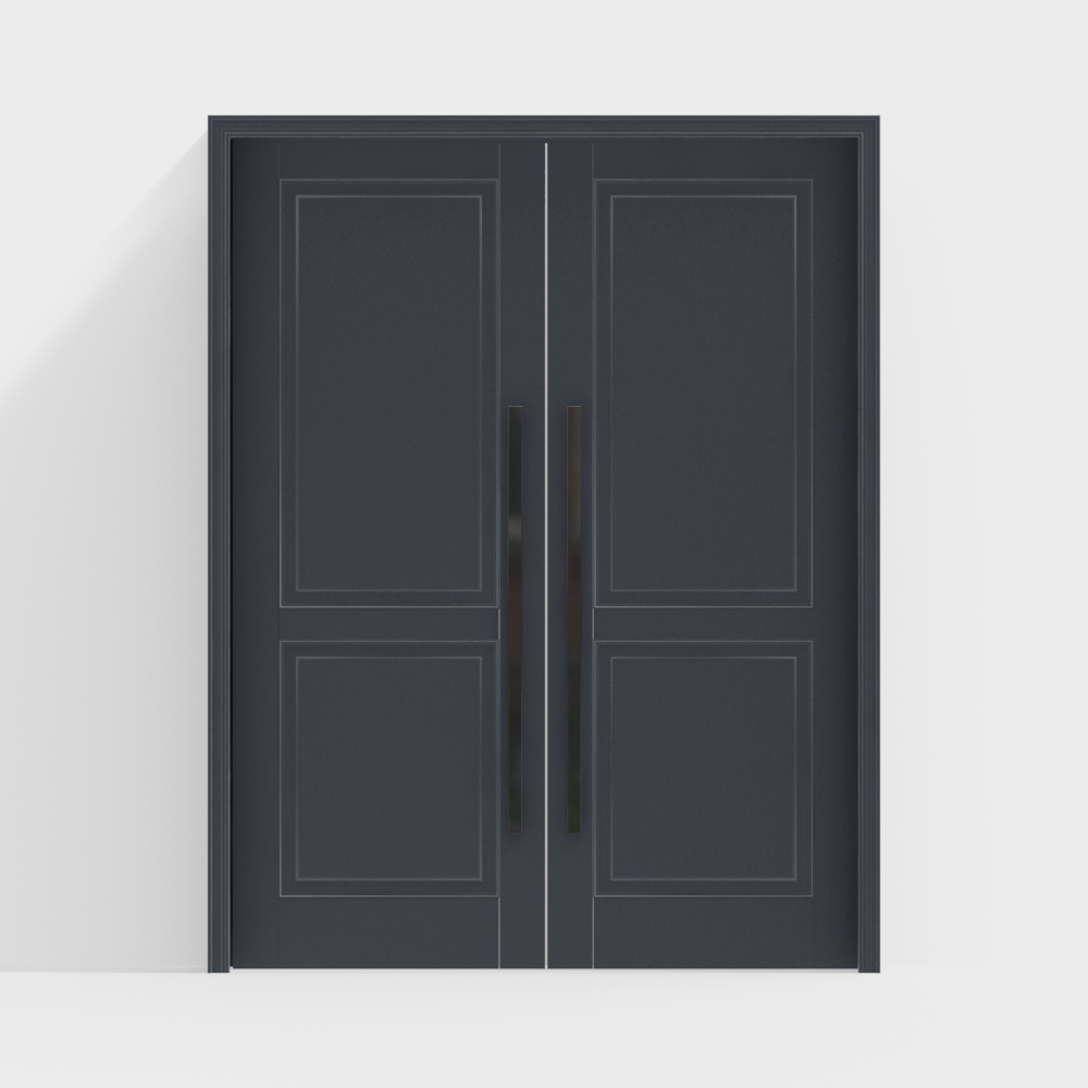 Modern Double Door