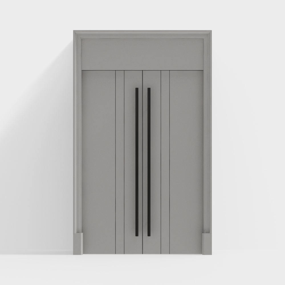 Modern Double Door