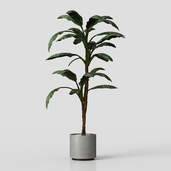 Realistic Indoor Plant 3D Model for Modern Designs