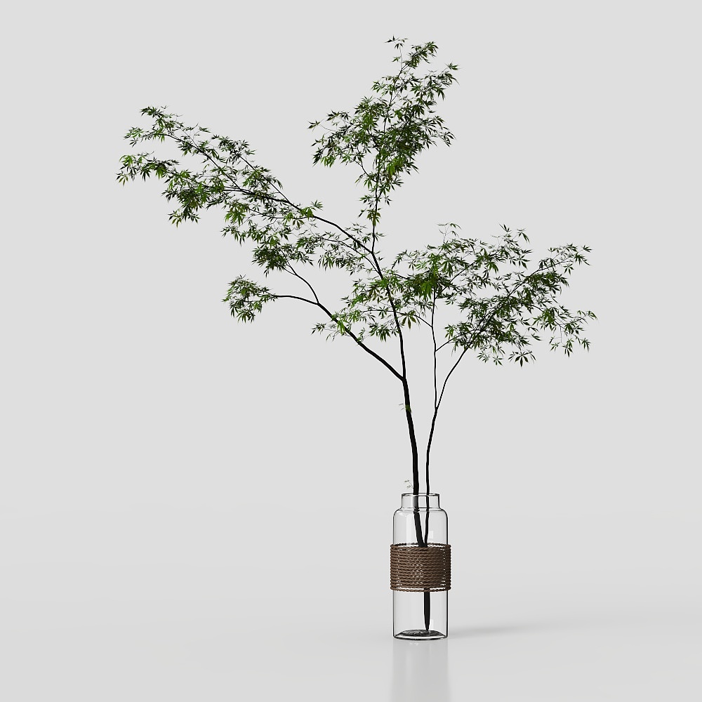 Yunfeng - Green Plant