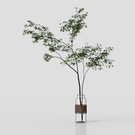 Bamboo Branch in Glass Vase 3D model