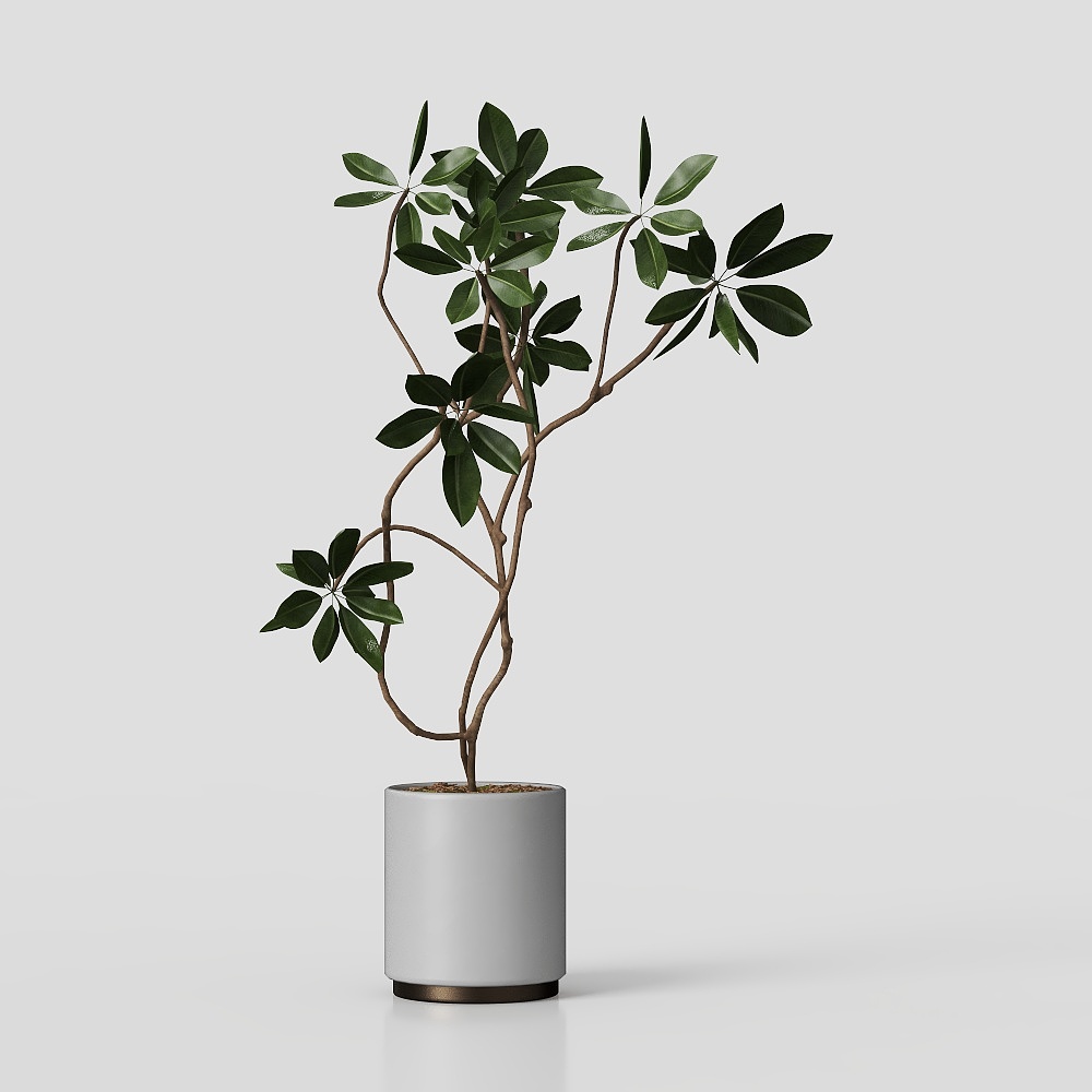 グリーン・プラント