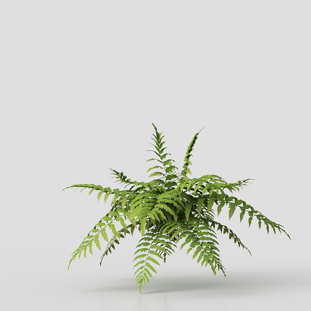 Small Green Plant Tree (New)