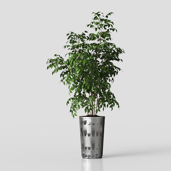 Vibrant Greenery Plant 3D Model for Modern Spaces