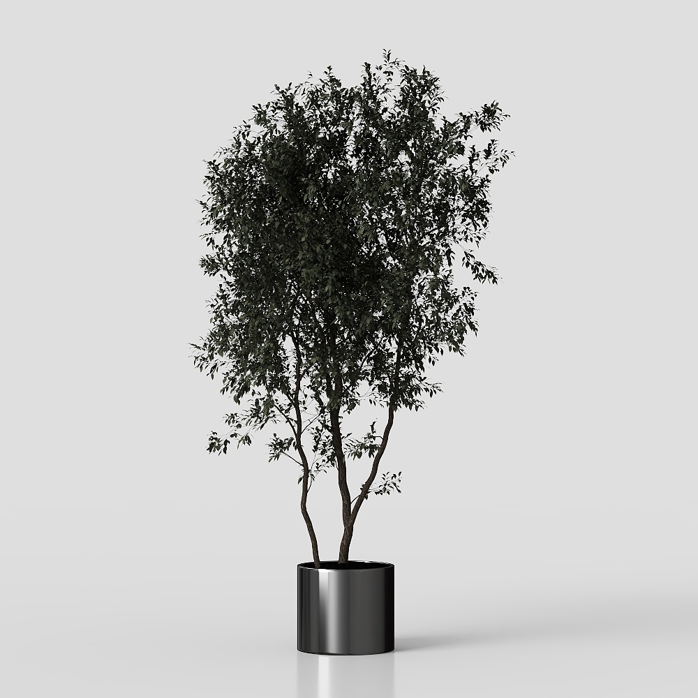 Üppige grüne Pflanzen