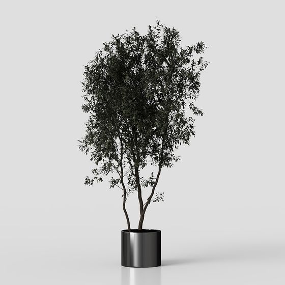 Üppige grüne Pflanzen