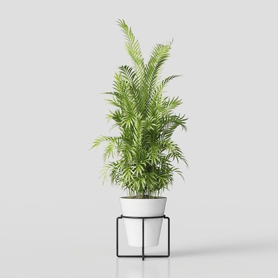 Lush Potted Plant 3D model