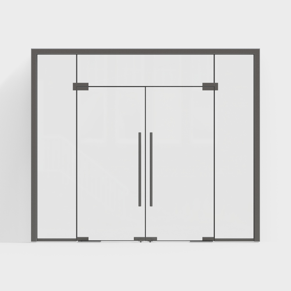 Modern Glass Door