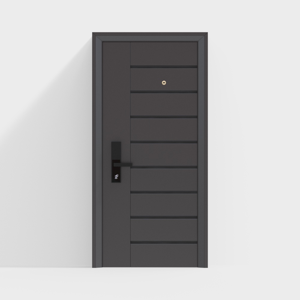 Modern Entrance Door