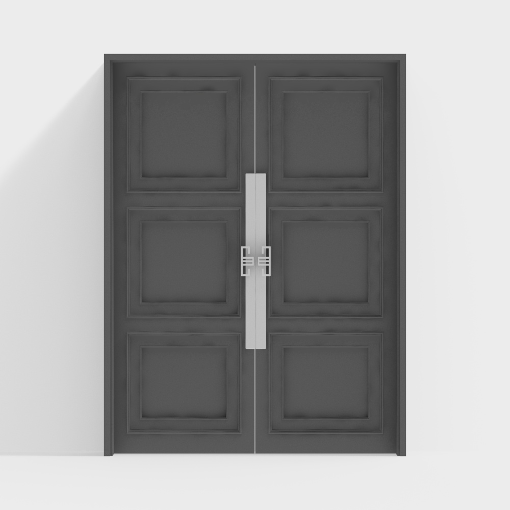 Modern Double Door